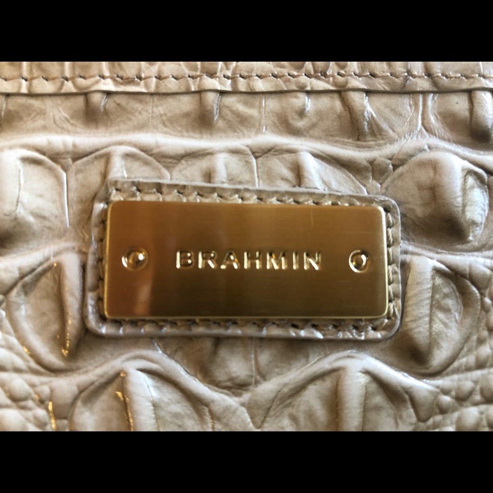 Mini Brahmin 🥂 - Picture 3 of 6